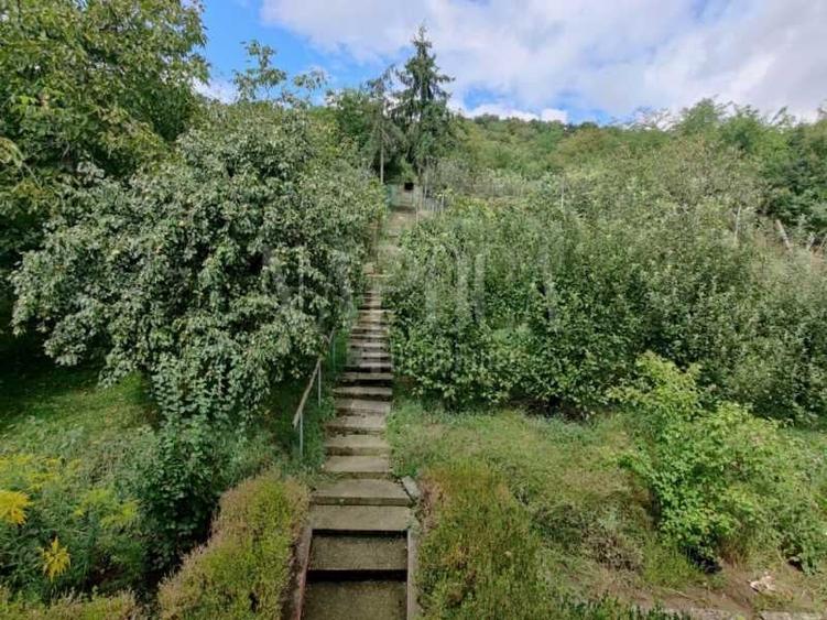 Casa 10 camere de vanzare in Grigorescu, Cluj Napoca - 4