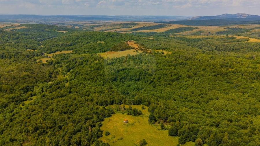 COMISION 0% Teren Grid/Inima Naturii/ Oportunitate de investitie - 16