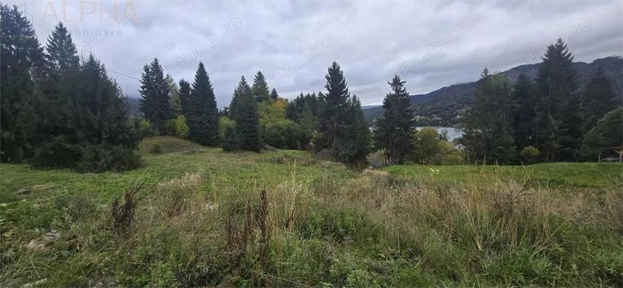 TEREN DE VANZARE COLIBITA _4600 EUR AR - 4