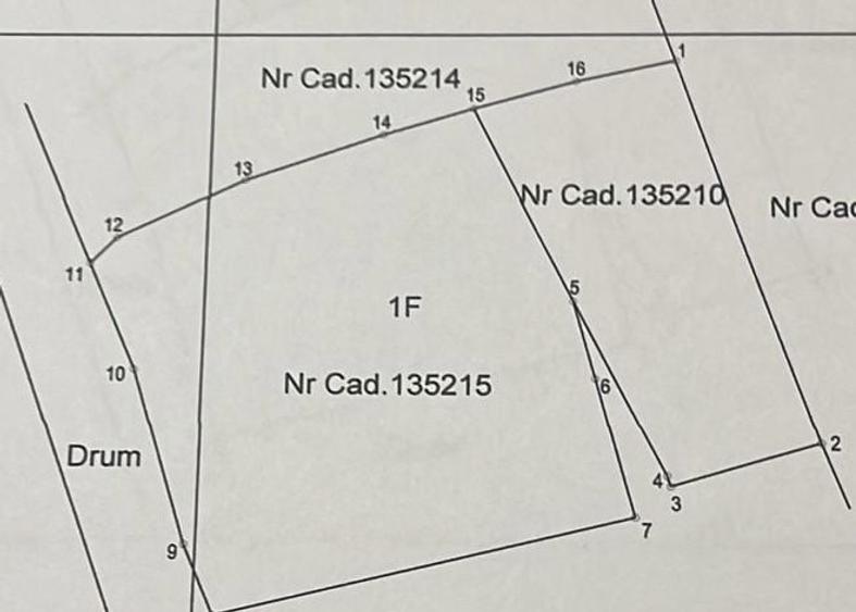1258 mp, Strada Viilor, Baia Mare, 2 parcele alaturate, 125 000 - 3