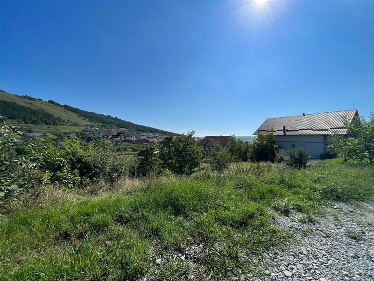 Campenesti Teren 600 MP Front 27M Casa Individuala - 3