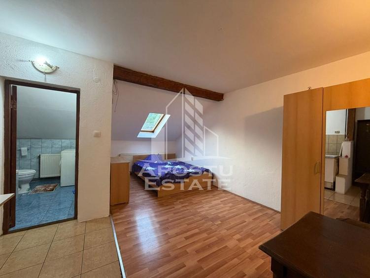 Apartament cu 1 camera, de inchiriat, zona Aradului, Timisoara - 1
