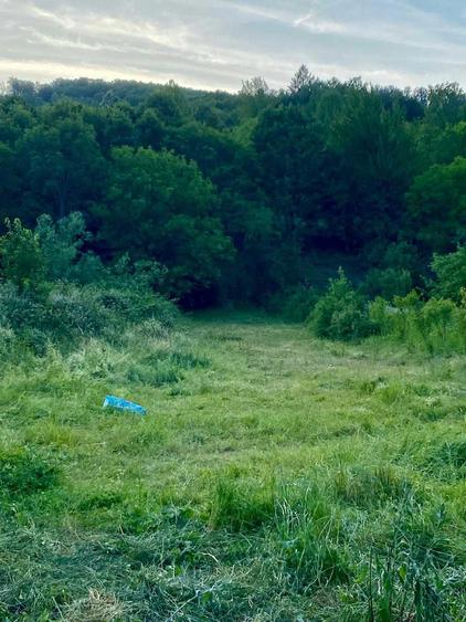 Casa cu farmec boem de vanzare in Moneasa - 6