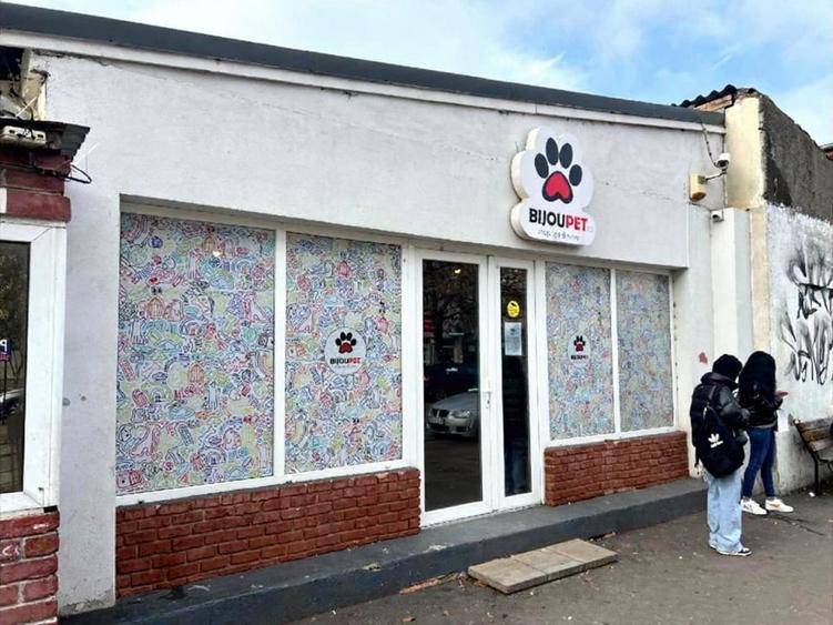 Spatiu comercial | Nemobilat | Parcul Circului | Tei | Centrala - 10