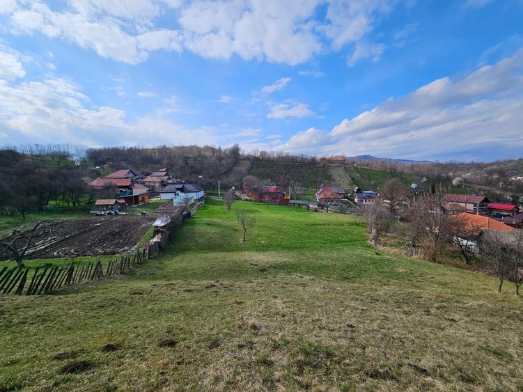 Teren intravilan Comanesti Bacau cu utilitati - 1