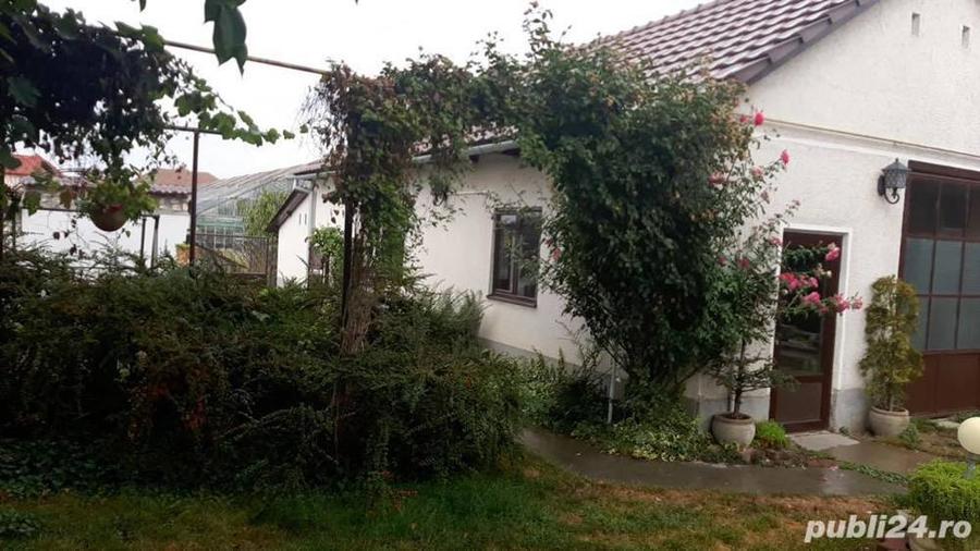 Vand proprietate cu posibilitati diverse in Curtici - 9