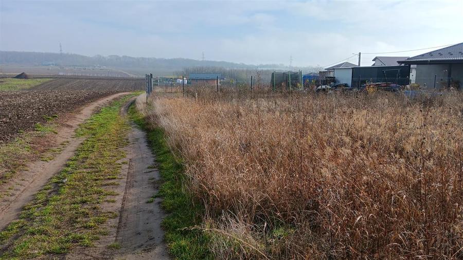 Aroneanu str Viisoarei TEREN 2 loturi x 650 mp. Intravilan cu utilitati zona con - 6