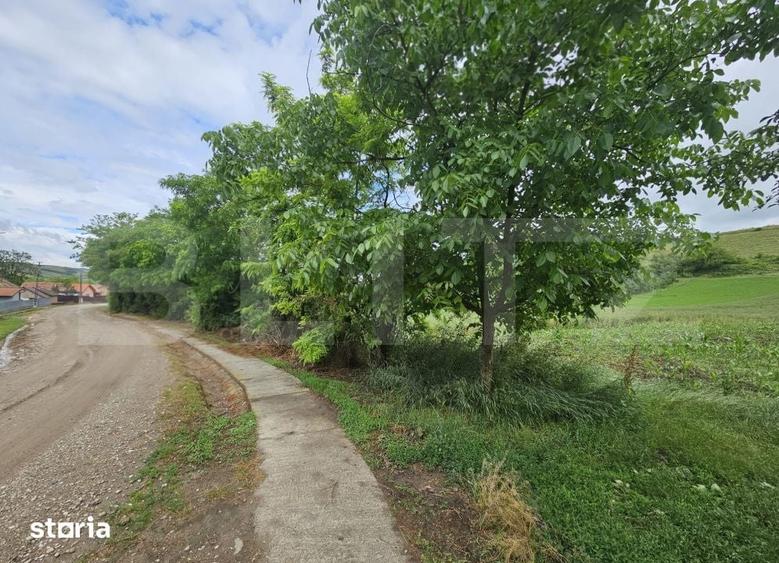 Teren de 4200 mp, în Sâncel