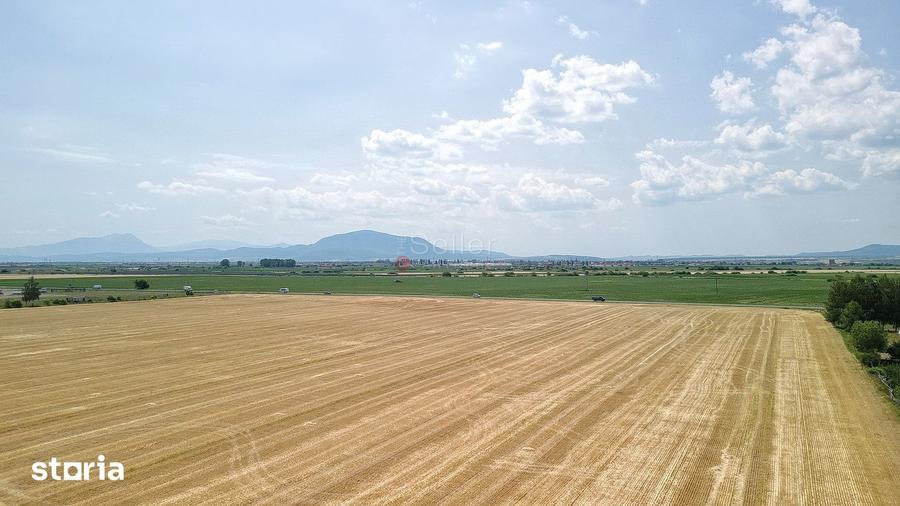 Teren de 60000 mp, în Hălchiu