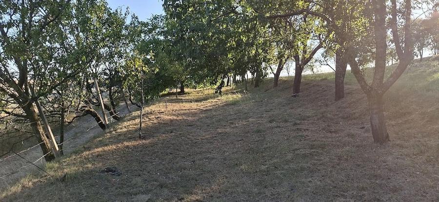 Teren de 1000 mp, în Vâlcele
