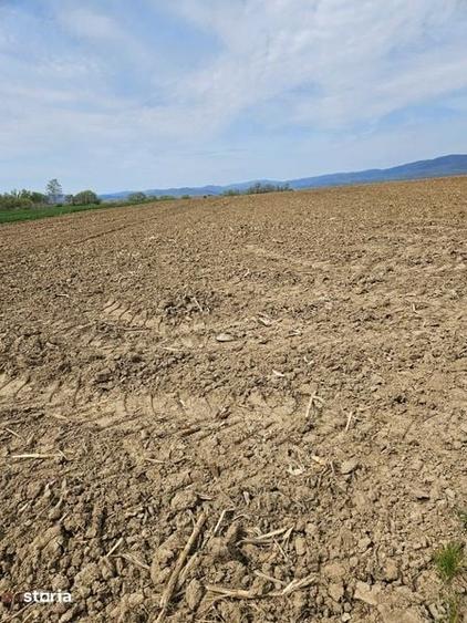 Vanzare teren agricol extravilan - 1