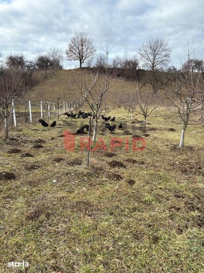 Teren de 1332 mp, în Prundu Bârgăului
