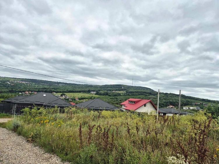 Vand Teren Visan Birnova intravilan - 3