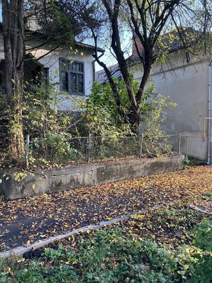 Teren Buzias, langa parc - 1