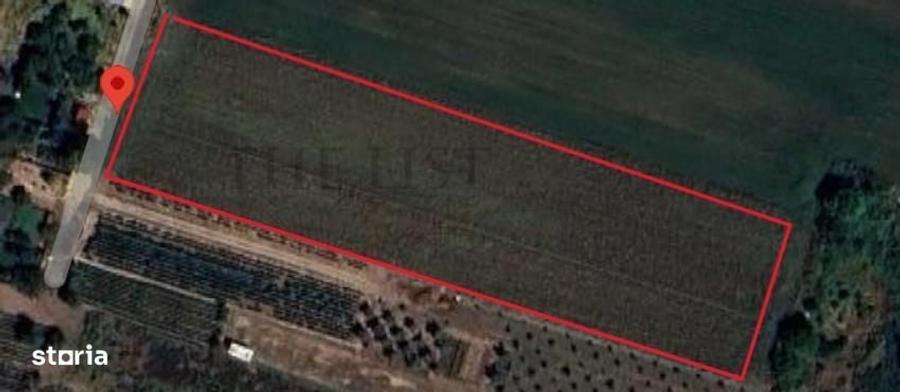 Teren Intravilan | 4913 mp | DARZA - 1