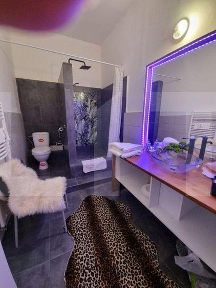 Oportunitate! Casa 300 mp utili, 1000 mp teren, zona Sapte Strazi! - 7