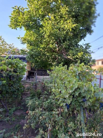 Vand casa Vaslui, Str. Florilor nr.5 - 6