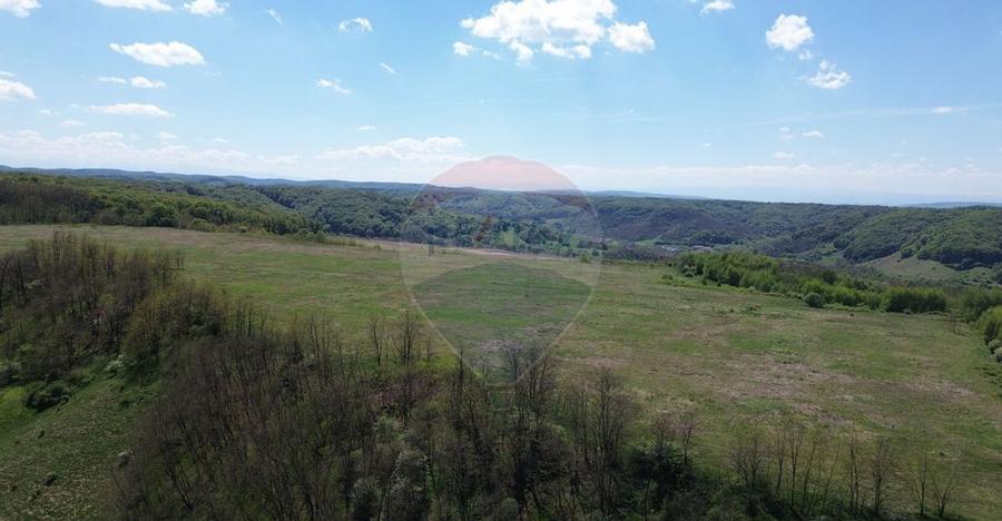 Domeniu - 66 Hectare - Teren deosebit Copsa Mica cu desch... - 5