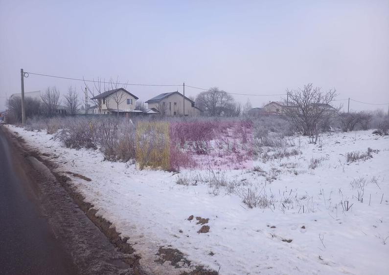 Teren Domnesti 12300 mp de vanzare sau asociere - 2