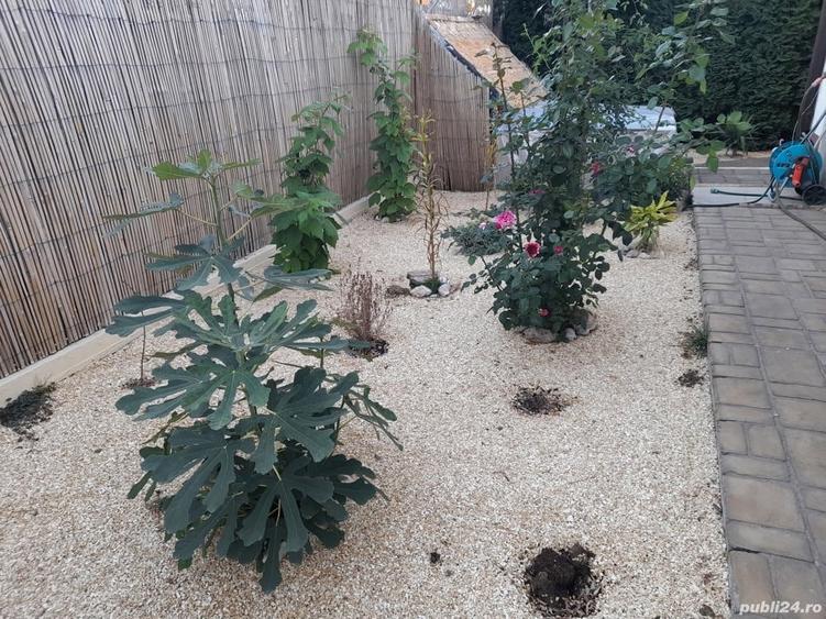 Casa Valu Lui Traian - 1