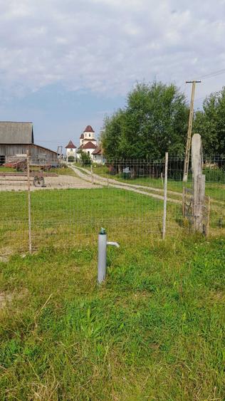 teren vanzare lunca marcusului - 3