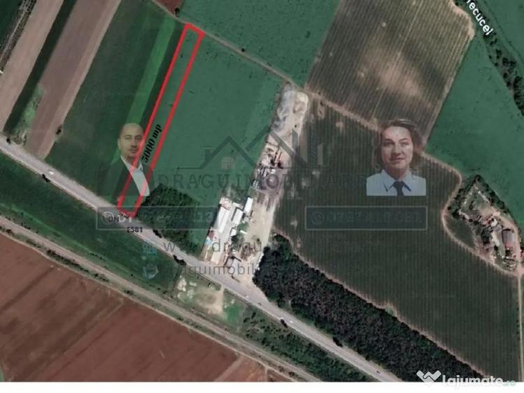 Teren 5000 mp, ie?ire din Tecuci, dupa Peco Galbenu? - 1