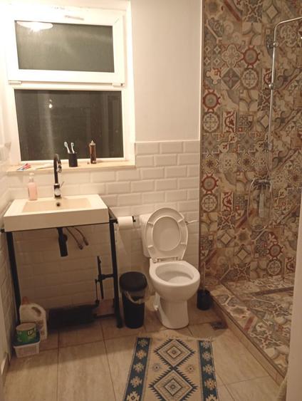 Domeniu cu doua case si curte de 2,4 hectare intravilan. - 1