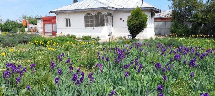 Casa 3 camere - Zorile Comuna Gradinari