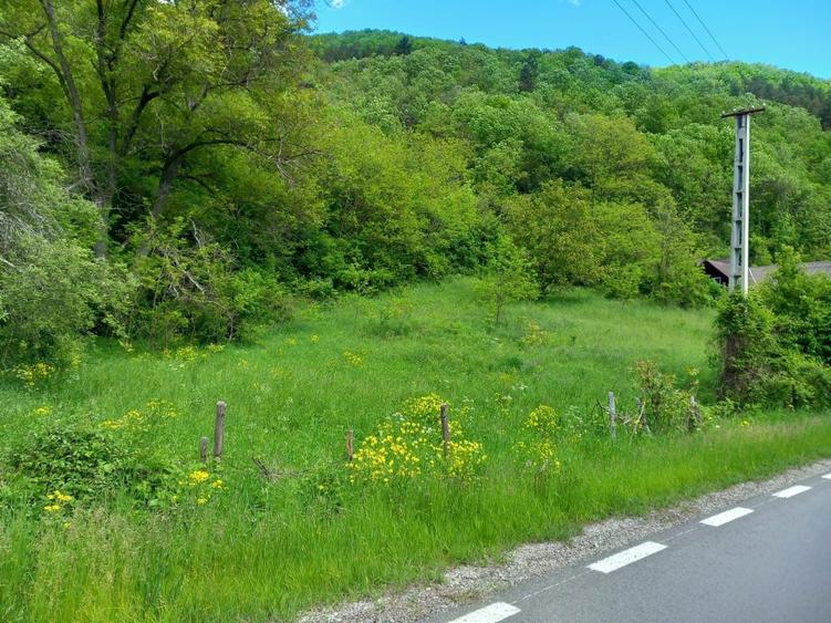 Vand Teren Intravilan Cluj com.Iara sat.Lungesti - 2