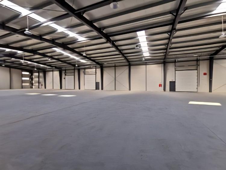 Hală Premium 760 mp | Mogoșoaia - Centură, 630 kVA, Infrastructură ISU | H=8m - 2