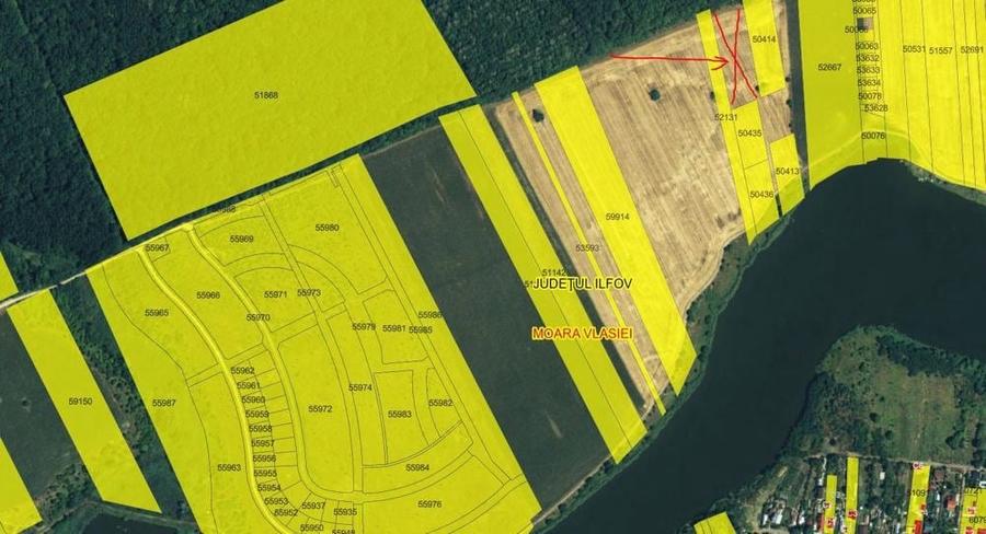 Lot 1000 mp in umbra padurii cu view la lacul academiei din Caciulati - 1