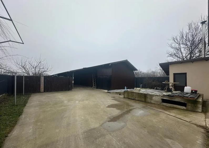 VIGAFON - Casa 5 camere Cornesti-Dambovita - 3