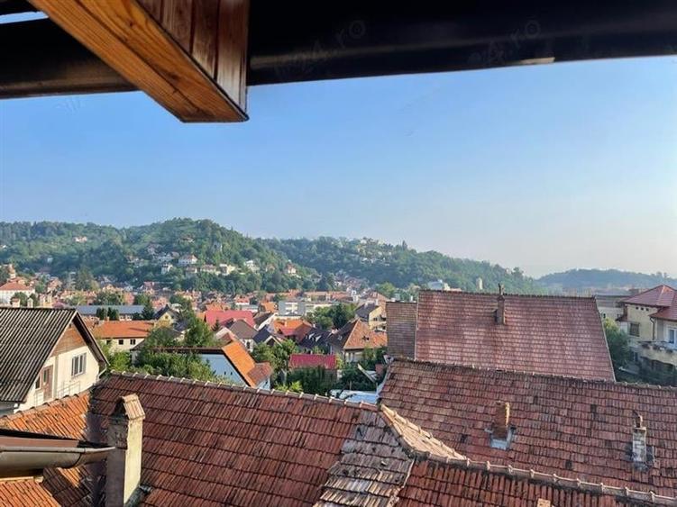 Studio deschis si la regim hotelier, priveliste frumoasa, pet friendly, loc parc - 2