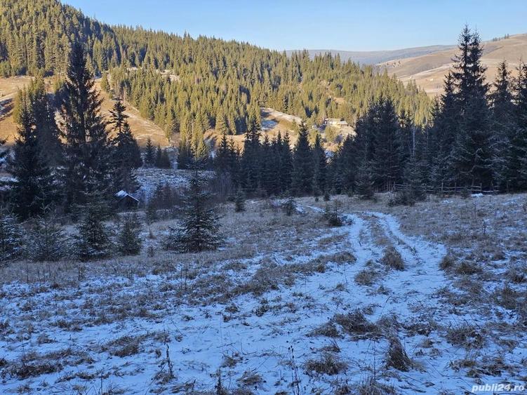 Teren extravilan de vanzare inconjurat de padure in Bucovina zona Breaza - 1