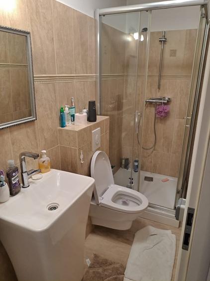 Drumul Sarii - Razoare, singur curte, constructie 2010semimobilata - 10