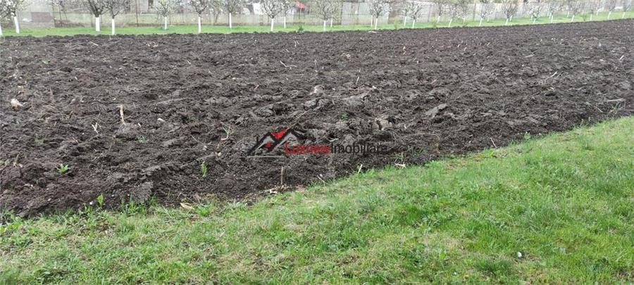 Teren intravilan 600 mp cu utilitati in Suceagu! - 2