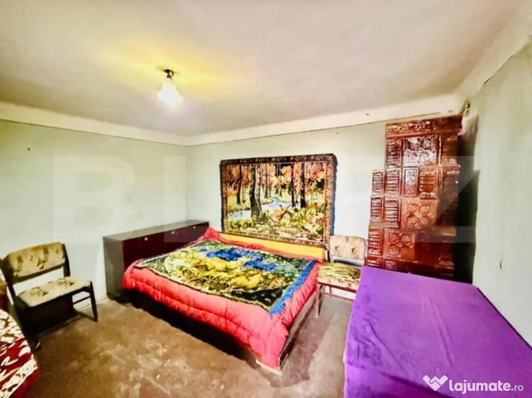 Oaza de lini?te in Titu Salcu?a - 7