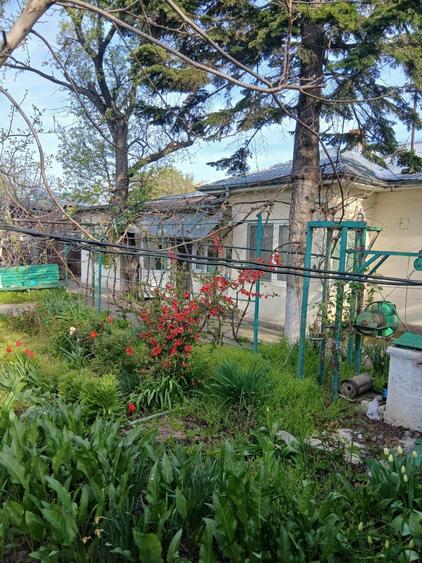 Vand casa in Turnu Magurele - 3