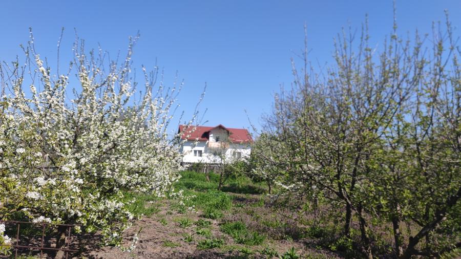 Vând teren și casa - 9