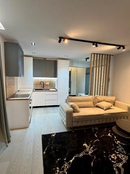 Apartament 2 camere ,bloc ou , curte proprie,rima inchiriere - 12