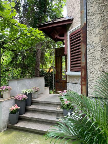 Parter in Vila cu intrare Individuală / Cotroceni/ Centrala Proprie - 6