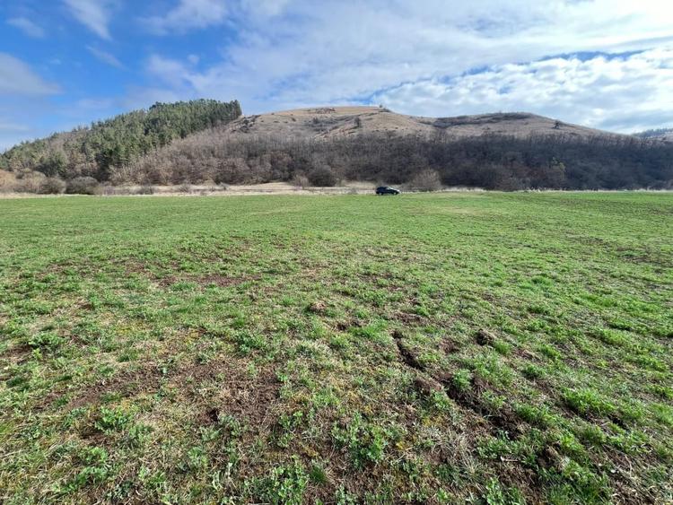 Teren intravilan Luna de Sus, 900 mp - 1