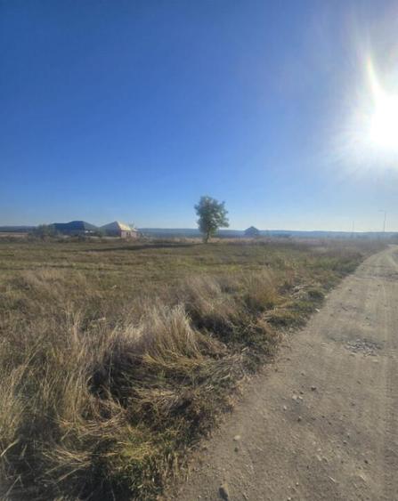 Teren 1000mp ,la intrarea in Filiasi - 3