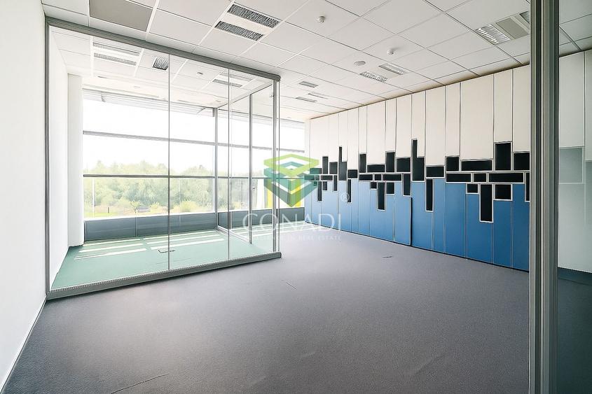 Baneasa, spatiu de birouri de inchiriat, 311 mp - 2