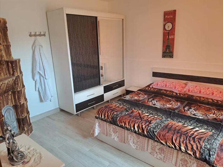 Oltenita - Soldanu, singur curte, complet mobilata si utilata - 17