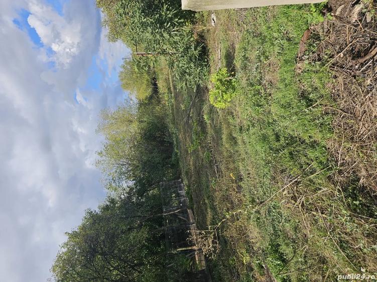 Vand casa batranesca in Ro?iori de Vede - 1