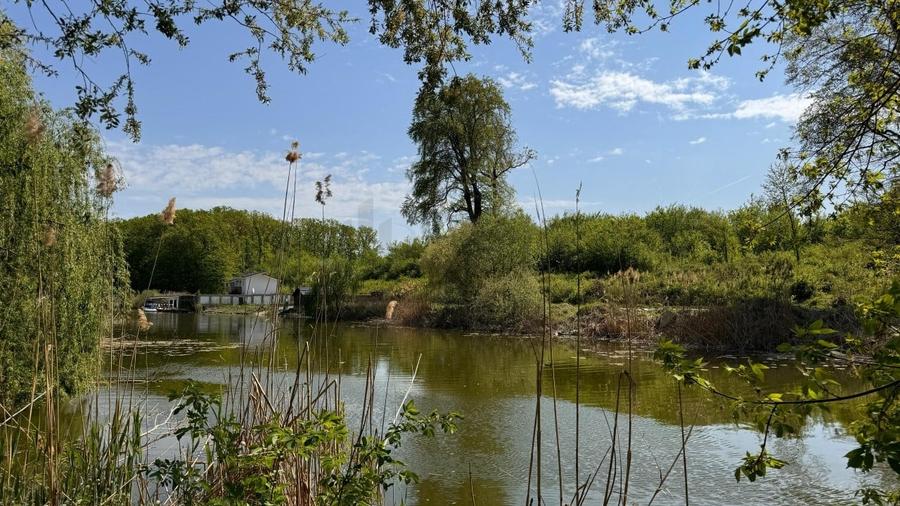 REL4001152 Teren Intravilan 10.000 mp Silistea Snagovului de Vanzare - 1