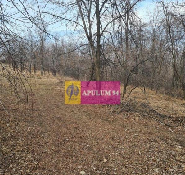 Teren intravilan de vanzare in Cornu de Jos - 6