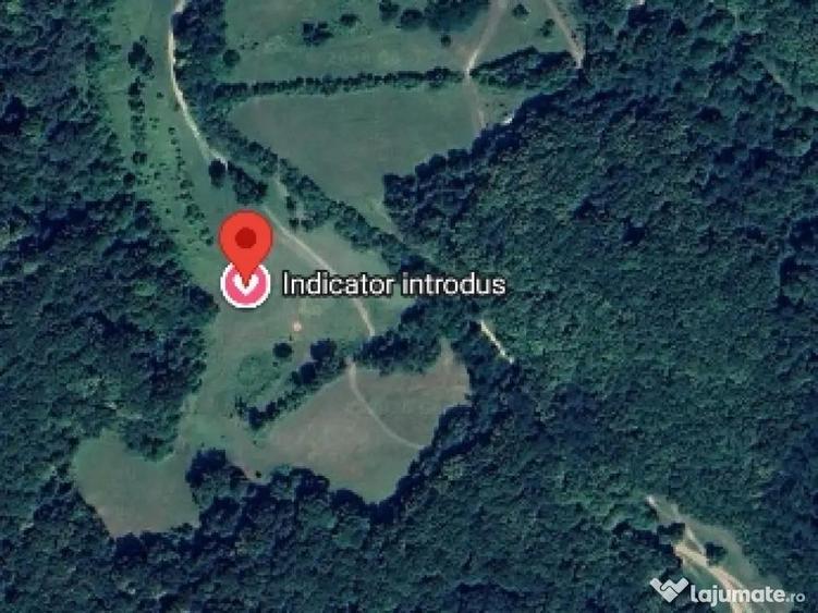 18.000 Mp teren extravilan in jud Sibiu comuna Mihaileni sat ?elcau pret negociabil - 8
