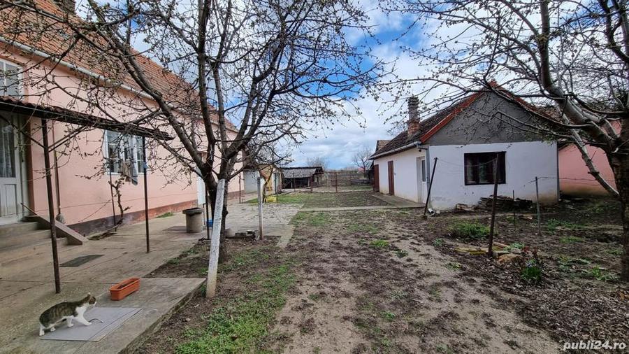 Casa de vanzare Mailat - 3000mp teren - 5